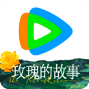 宇婉莹女王
